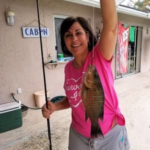 Meet your Posher, Ida